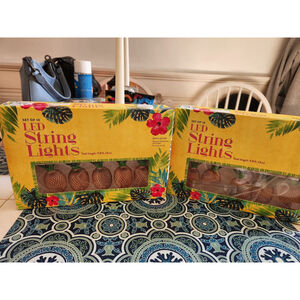 Set of 2 Pinneapple Battery Operated LED Lights